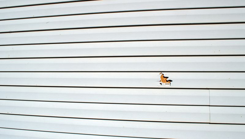 Insurance Restoration Specialists